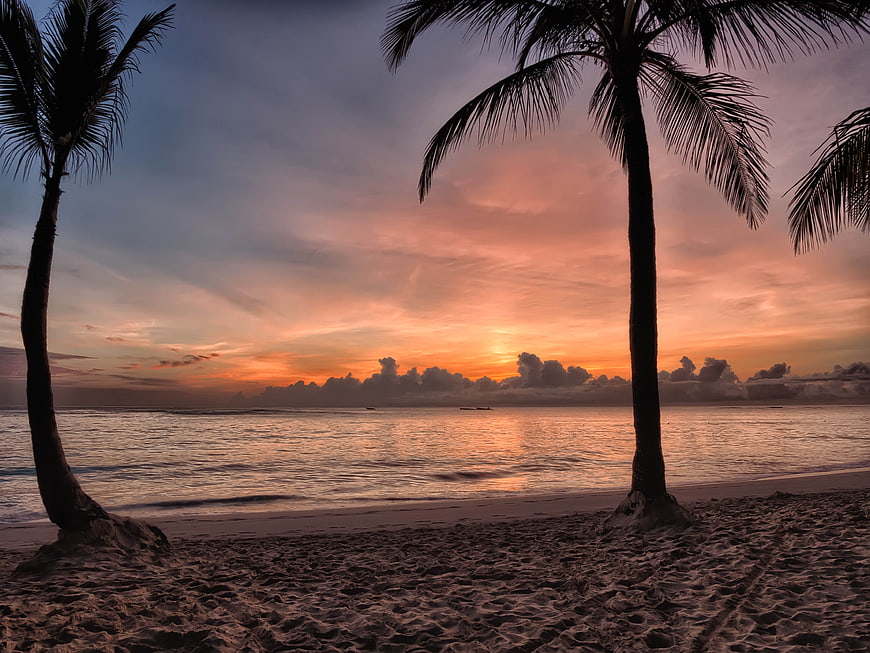 Tropical Beach Sunset with Silhouetted Palm Trees