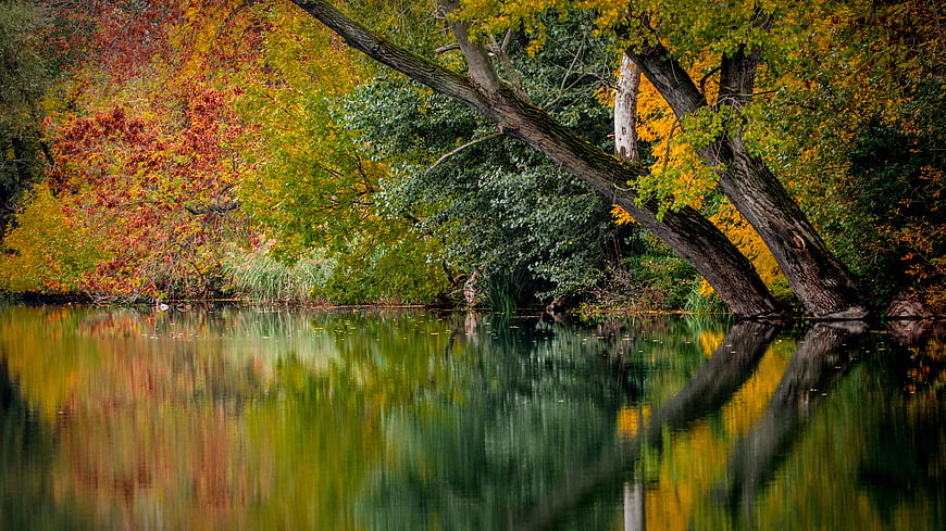 Serene Autumn River with Vibrant Tree Reflections