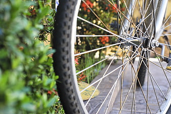 Close-up of bicycle wheel with garden background