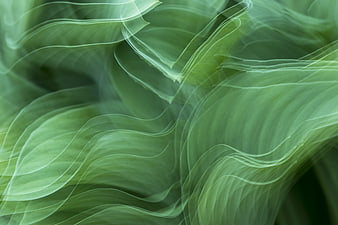 Abstract Green Leaf Motion Blur Background