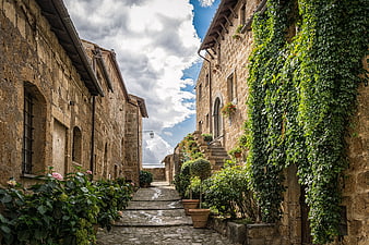 Narrow cobblestone alley in historic Italian village with ivy-covered stone walls