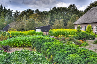 Lush vegetable garden with thatched cottage and autumn trees