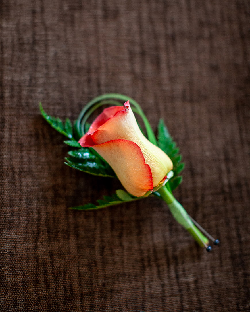 Red and yellow rose boutonniere on brown textured fabric