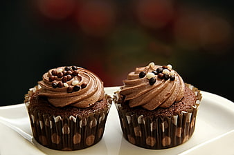 Two Chocolate Frosted Cupcakes With Chocolate Chips On White Plate