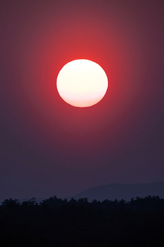 Vibrant Red Sun Setting Over Silhouetted Forest Landscape