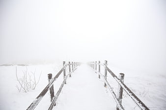 Snowy wooden boardwalk disappearing into thick white winter fog