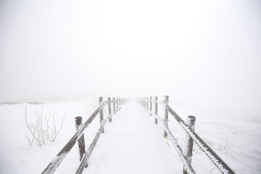 Snowy wooden boardwalk disappearing into thick white winter fog
