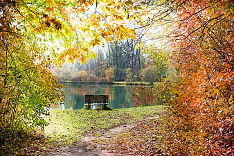Serene Autumn Park Scene with Bench by Lake