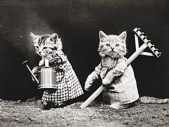Vintage black and white photo of two kittens dressed as gardeners