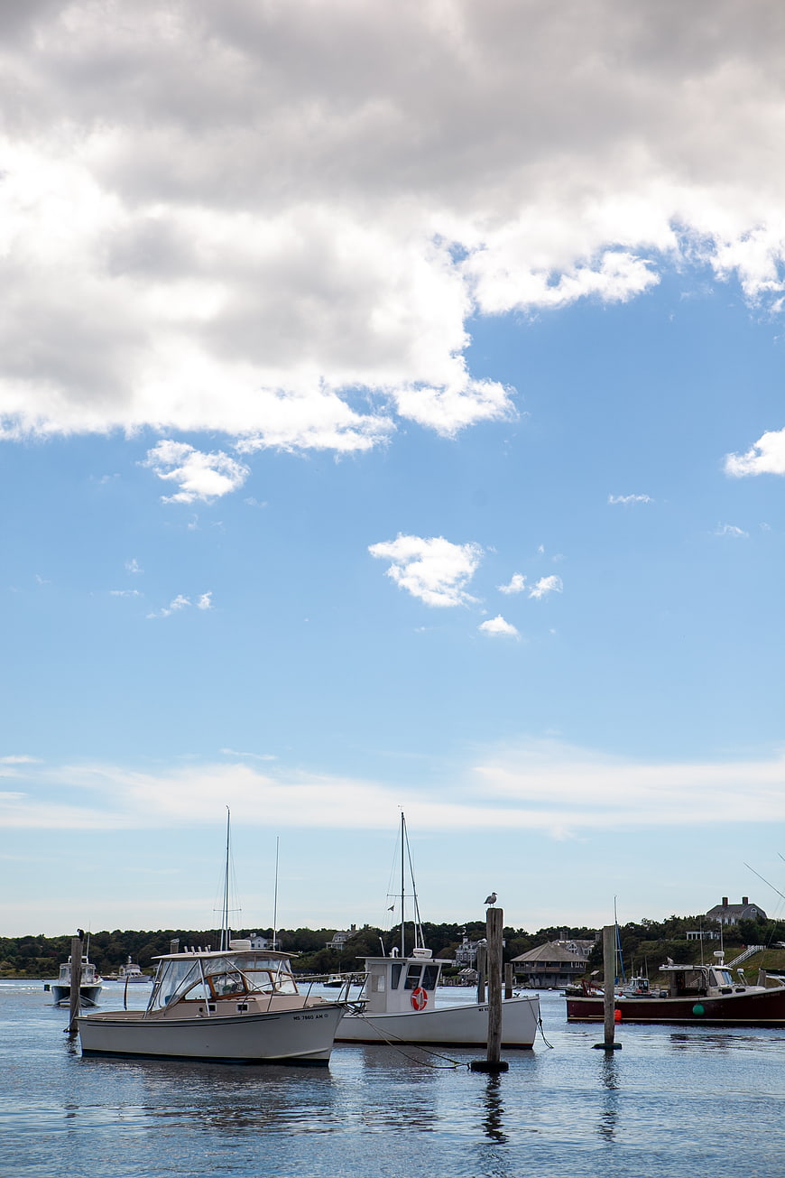 White boats docked in a calm harbor under a blue sky