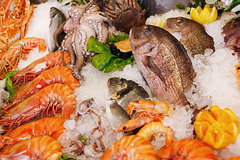Fresh Seafood Display on Ice with Fish, Shrimp, and Octopus