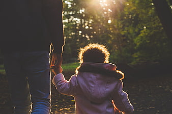 Father and Child Walking Hand in Hand in Sunlit Forest