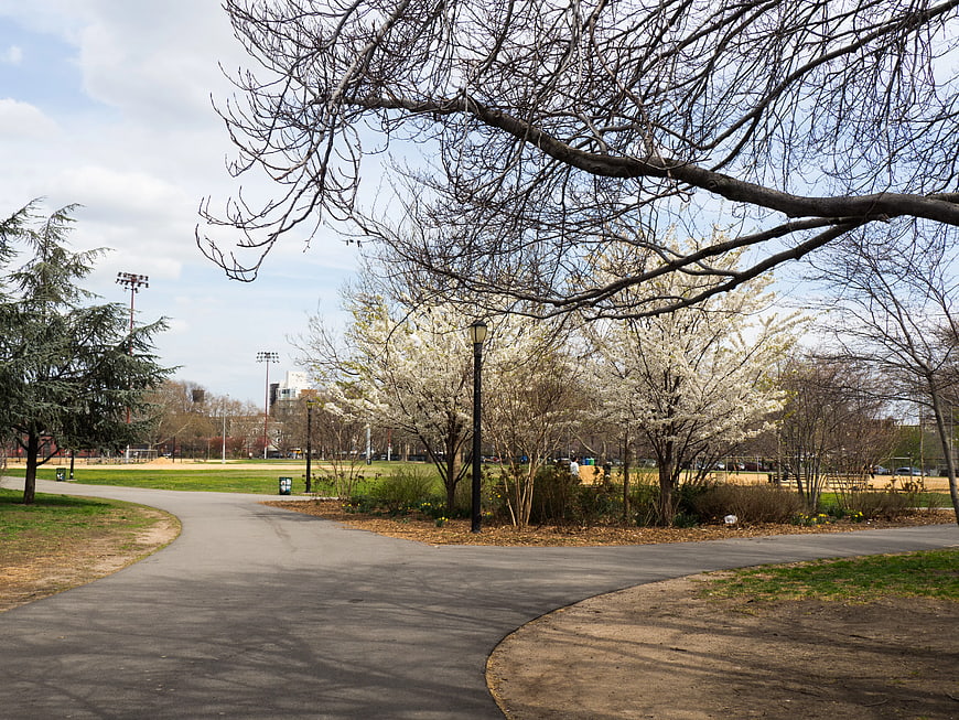 Winding Path Through City Park with Spring Blossoms
