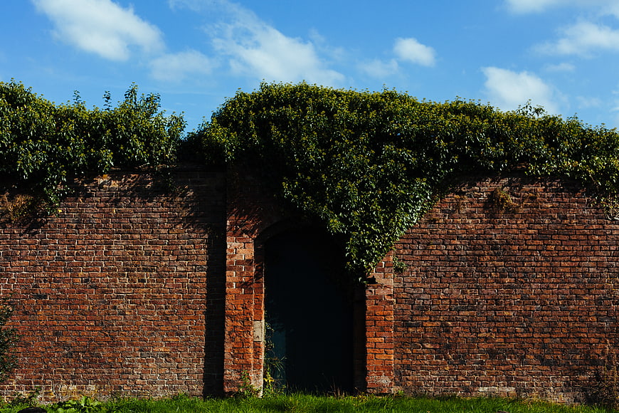 Old Brick Wall with Ivy and Arched Doorway