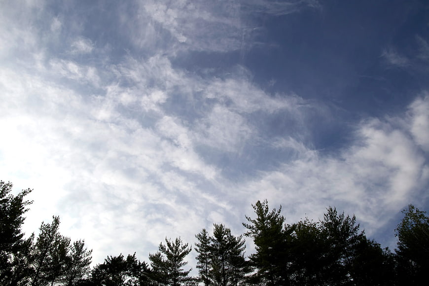 Silhouette of Pine Trees Against Blue Sky with Clouds