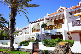 White Mediterranean Holiday Apartments With Palm Trees And Blue Sky