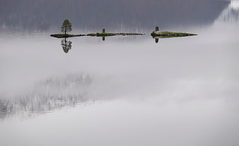 Misty lake with submerged ruins and tree reflection