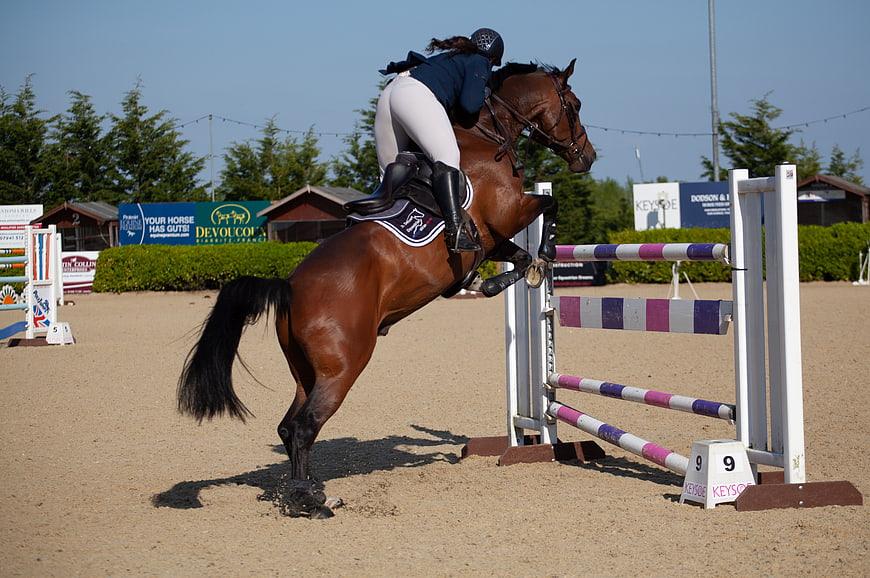 Equestrian rider jumping horse over obstacle in arena