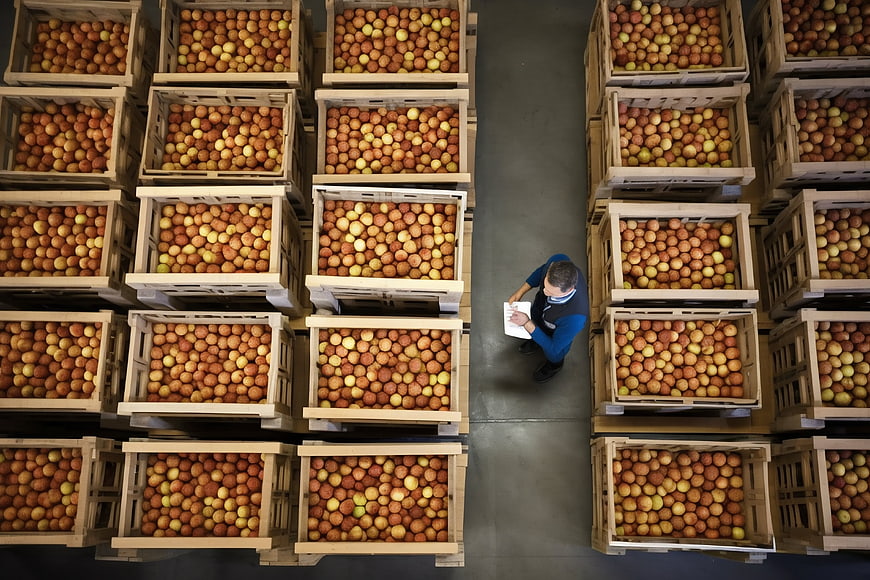 Top view of warehouse worker inspecting crates of apples