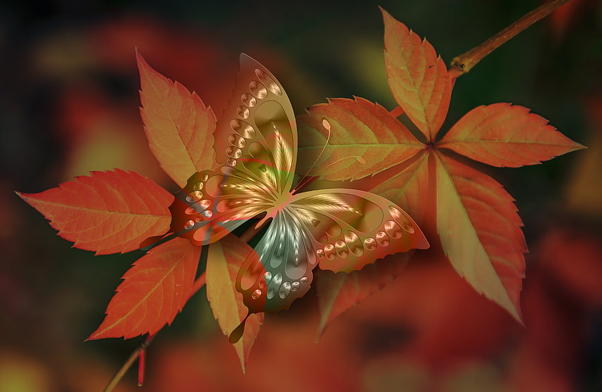 Artistic Digital Butterfly Overlay On Autumn Leaves