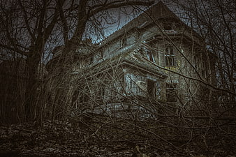 Abandoned Dilapidated House Surrounded by Bare Trees