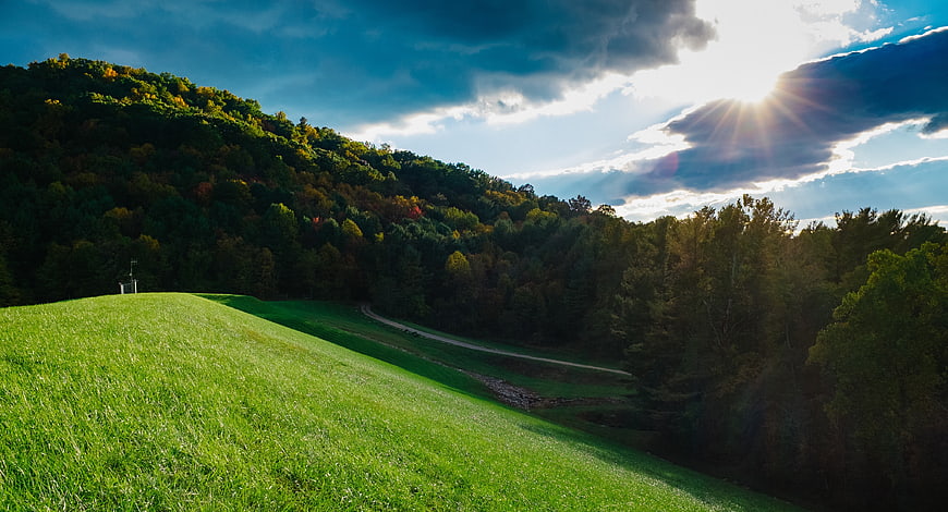 Sunlit Green Hillside with Forest and Dramatic Sky