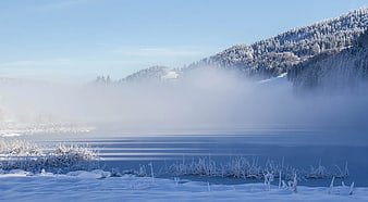 Serene Winter Landscape with Snowy Forest and Misty Lake
