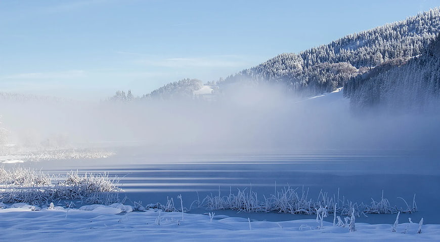 Serene Winter Landscape with Snowy Forest and Misty Lake