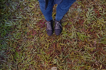 Top-down view of hiking boots on autumn leaves