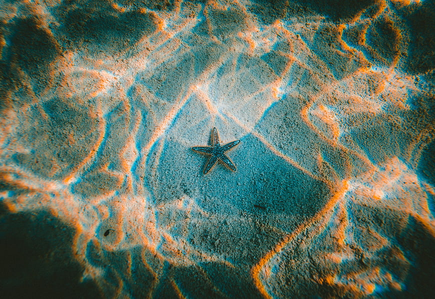 Starfish on Sandy Ocean Floor with Caustic Light Patterns