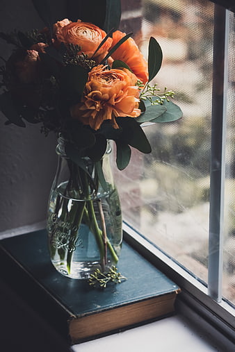 Orange Flowers in Glass Vase on Book by Window