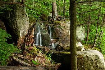 Serene Forest Waterfall Cascading Over Mossy Rocks