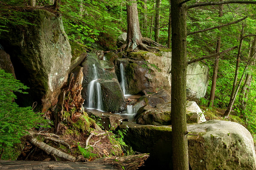 Serene Forest Waterfall Cascading Over Mossy Rocks