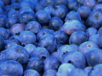Close-up of fresh blueberries with natural bloom texture