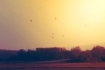 Hot Air Balloons Floating Over Rural Landscape at Sunset