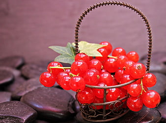 Fresh Red Currants in Miniature Wire Basket on Dark Stones