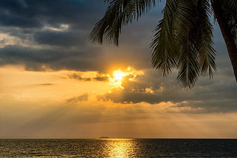 Dramatic Sunset Sun Rays Over Ocean with Palm Tree Silhouette