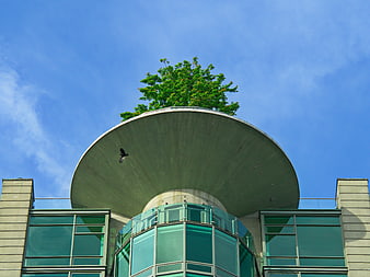 Modern Concrete Architecture with Green Rooftop Garden