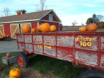 Vintage red farm wagon with pumpkins in autumn