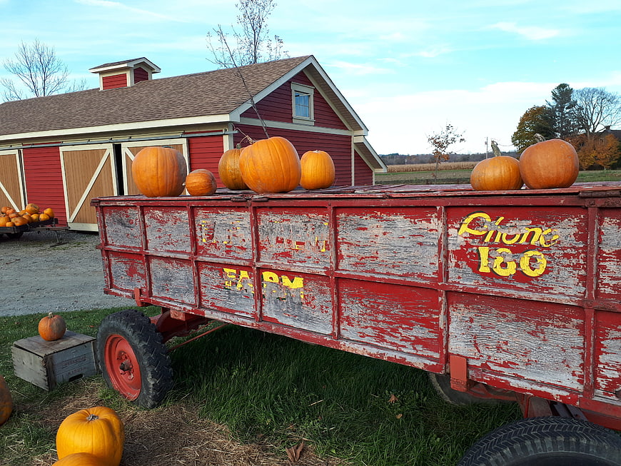 Vintage red farm wagon with pumpkins in autumn
