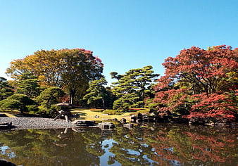 Serene Japanese Garden with Autumn Trees and Pond Reflection