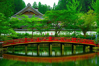 Red arched bridge in traditional Japanese garden