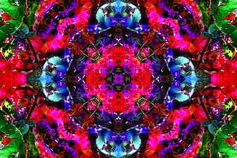 Vibrant kaleidoscope pattern of red and blue flowers