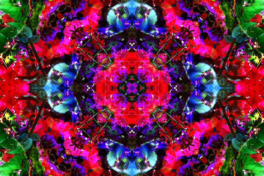 Vibrant kaleidoscope pattern of red and blue flowers