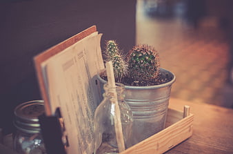 Rustic wooden tray with cactus, papers, and glass bottle
