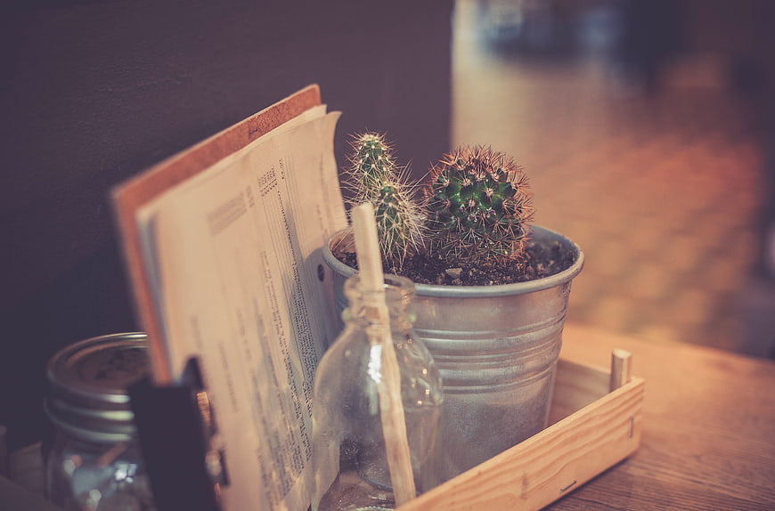 Rustic wooden tray with cactus, papers, and glass bottle