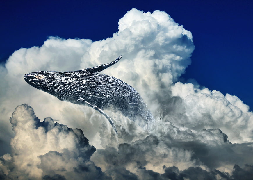 Surreal Humpback Whale Leaping Through Dramatic Clouds