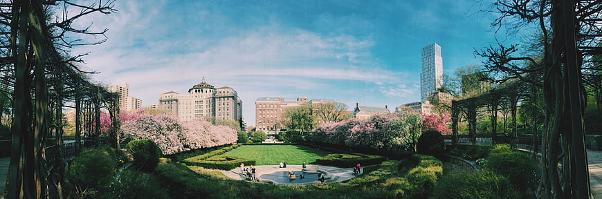 Panoramic View of Blooming Park with City Skyline