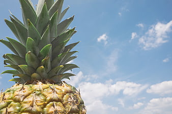 Close-up of pineapple top against blue sky with clouds