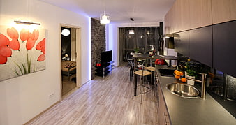 Modern Open-Plan Apartment Interior With Kitchenette And Living Area